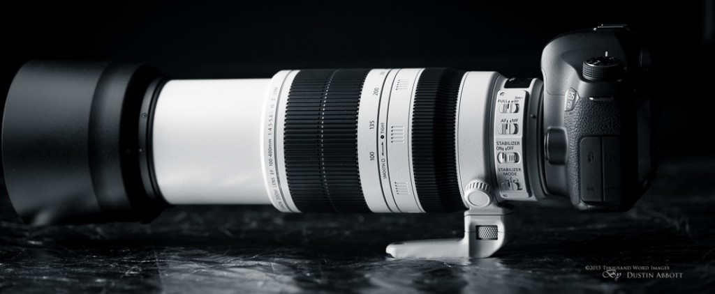 canon 100-400mm lens review