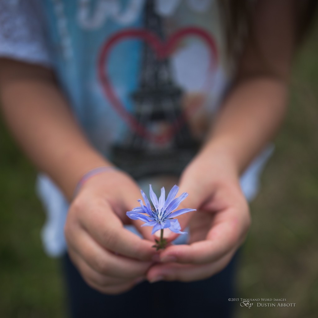 Sigma 24-35mm F2 DG a lens review Dustinabbott