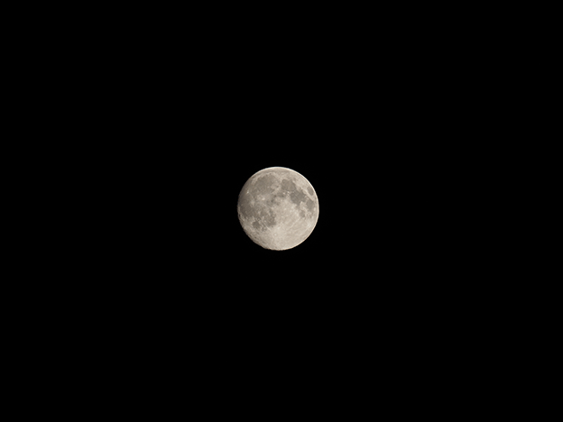Olympus-300mm-F4.0-ED-IS-Pro-lens-review4