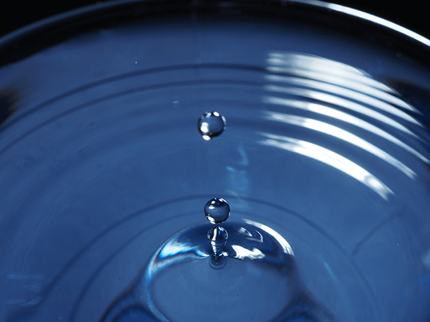 olympus-30mm-f3-5-macro-lens-sample-images6