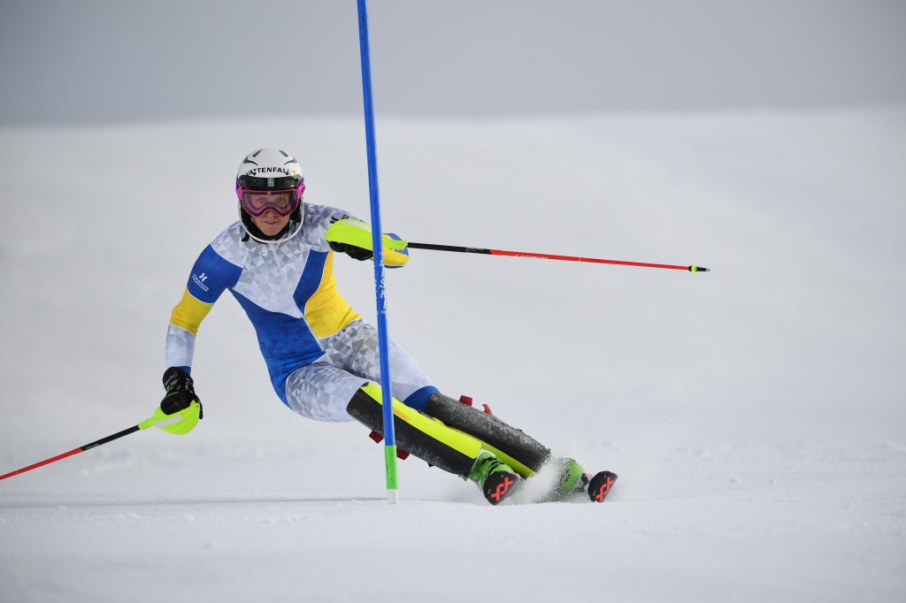 Nikon AF-S Nikkor 180-400mm F4E lens sample images7